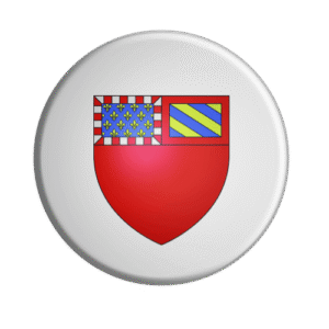 BADGESAGOGO.FR - Badge DIJON